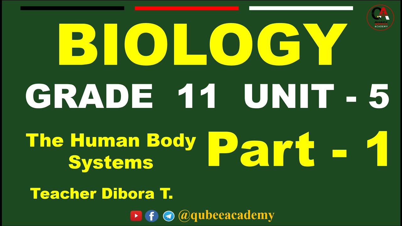 1. Biology Grade 11 Unit 5 The Human Body Systems | Part 1 | Qubee Academy | @QUBEEDIGITAL