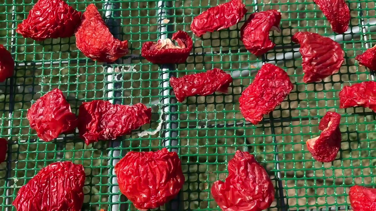 Sonnengetrocknete Tomaten selbstgemacht -Einfach lecker, lecker einfach und ganz ohne Schnickschnack