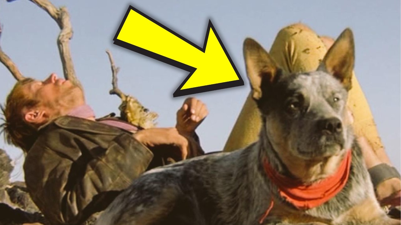 Mad Max 2: The Road Warrior (1981): 25 SECRETS Hidden for Decades