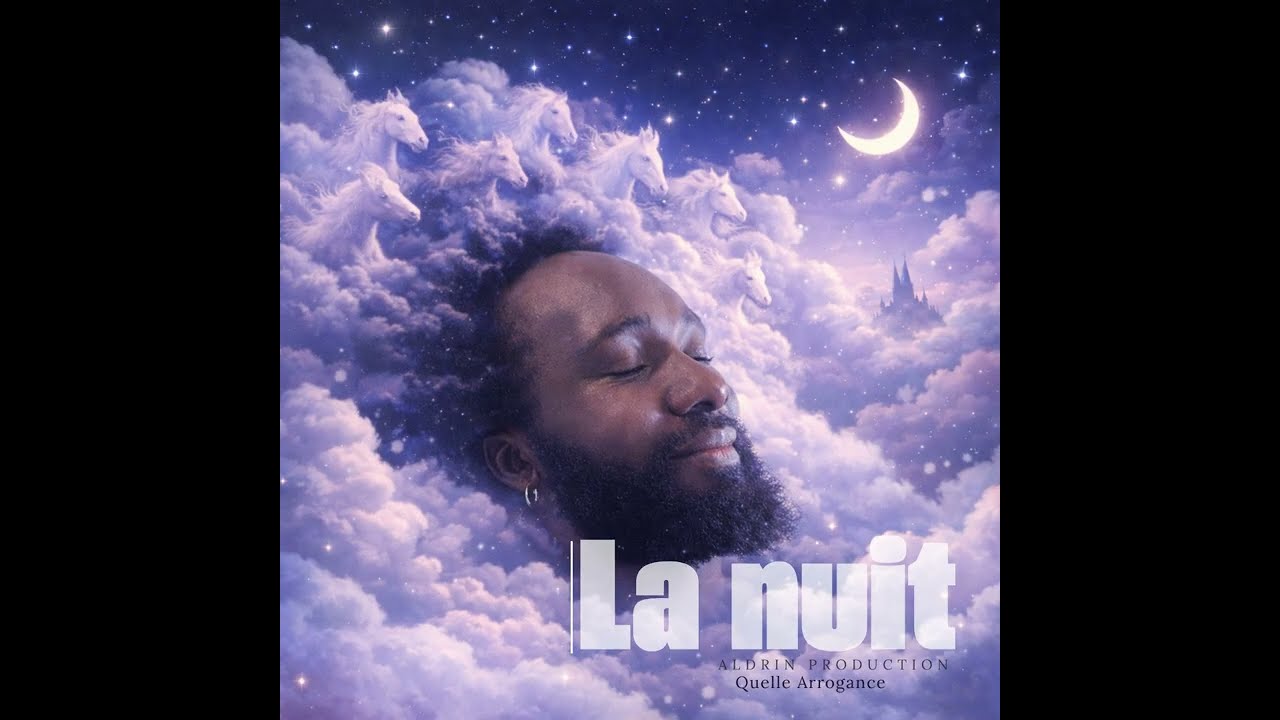 La nuit video