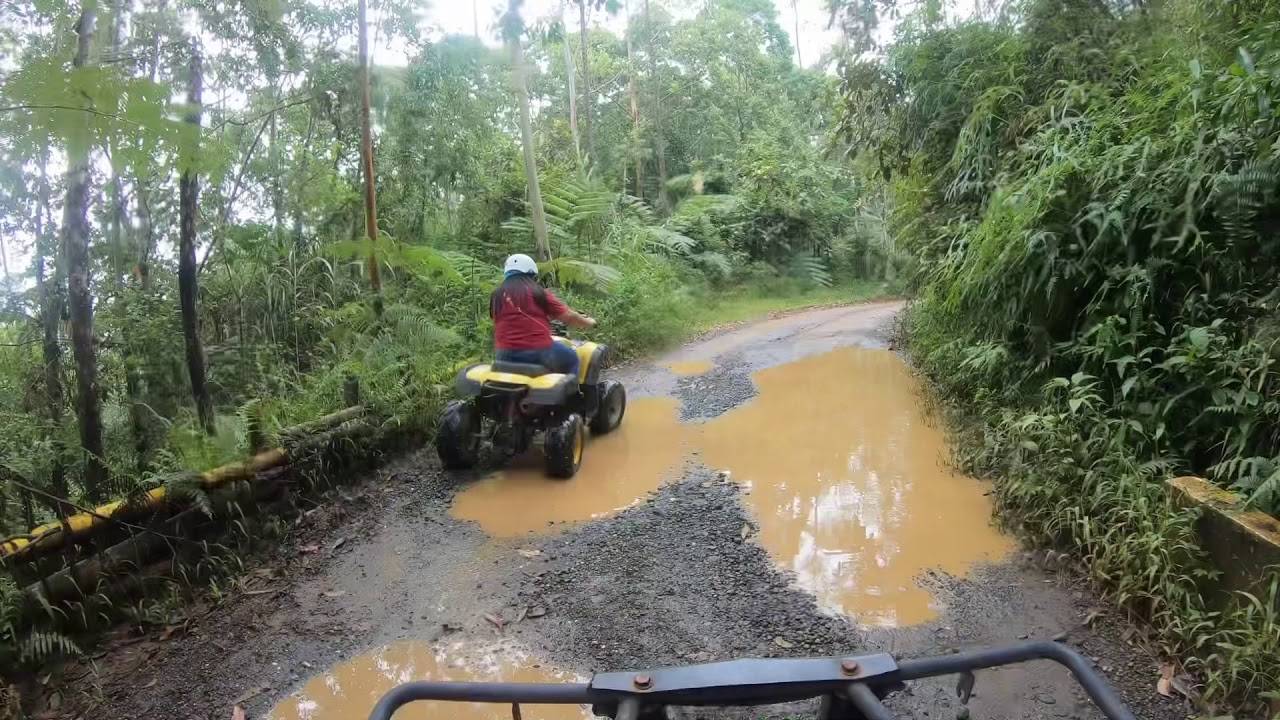 ATV BUGGY RIDE AT DAHILAYAN FOREST PARK | ATV BUKIDNON PHILIPPINES