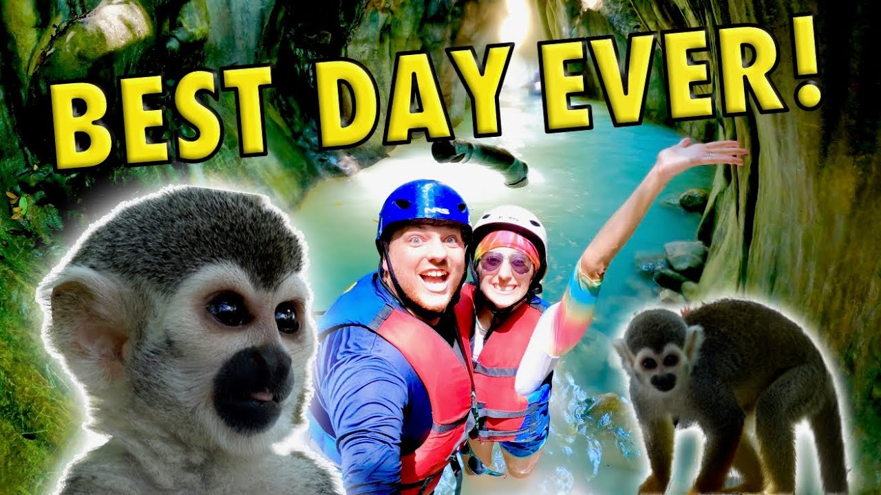 Waterfalls & Monkey Excursion in Amber Cove! | What to Expect at Damajagua Falls & Monkeyland!