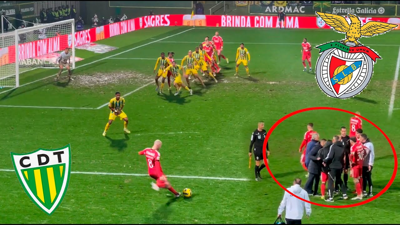 Tondela x Benfica - Melhores Momentos