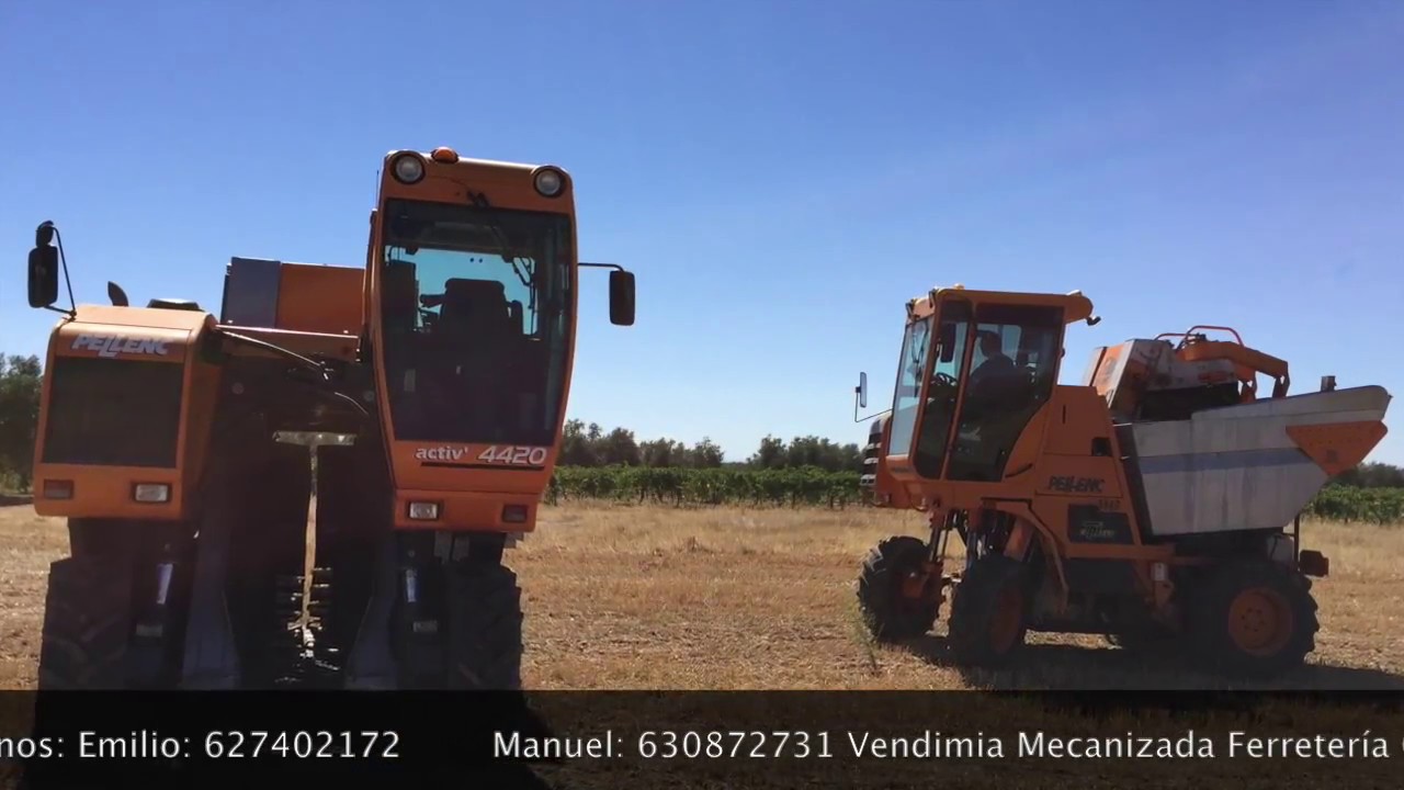 Vendimia Mecanizada Pellenc 3140 4420 en Villarrubia, Servicios Agricolas Ferretería Casas S.L.