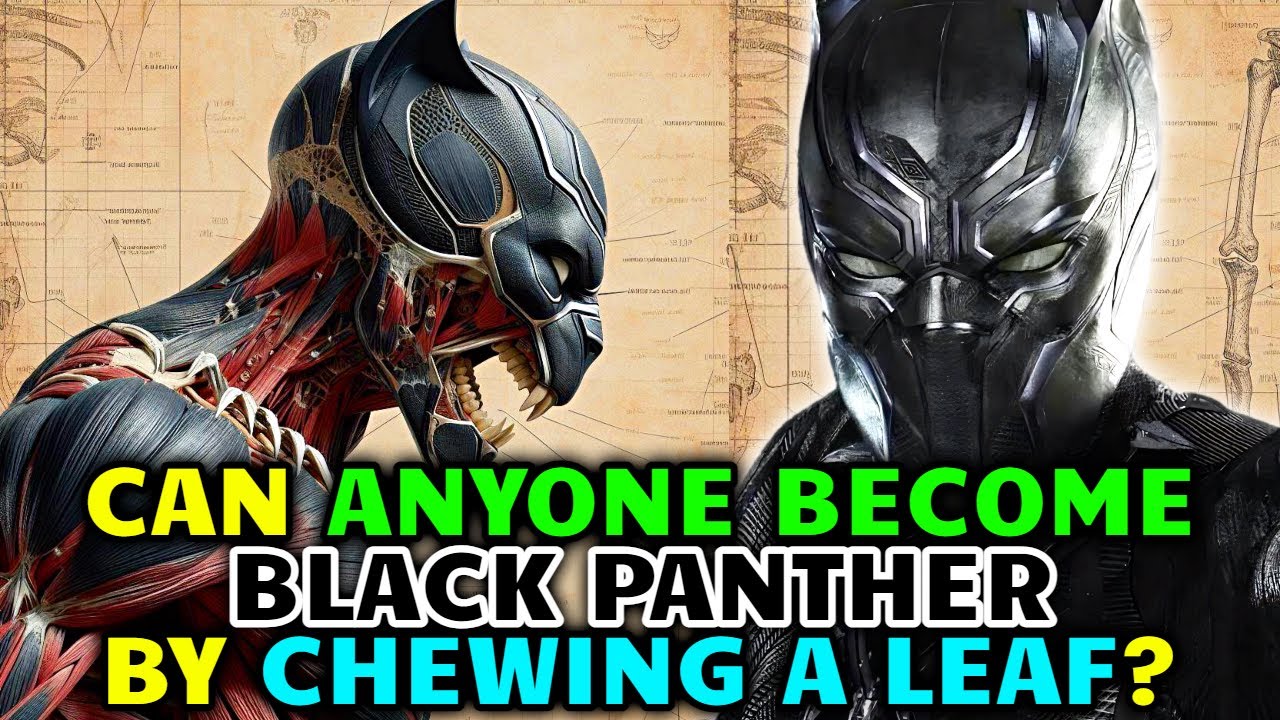 Black Panther T'Challa Anatomy Explored - Can Anyone Become A Black Panther By Chewing A Leaf?