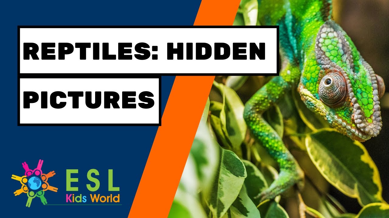 🐢Reptiles Hidden Pictures | Find Animals with this Fun Game