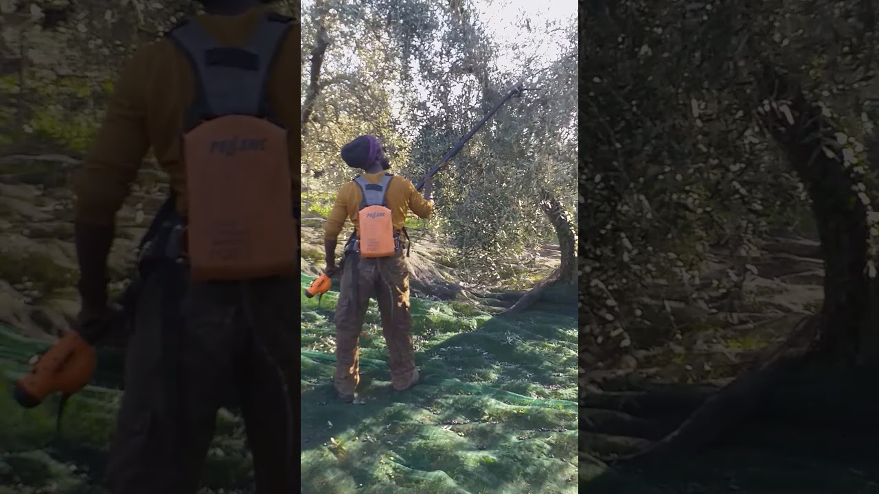 KHIDMA SETAL SA DEUK MBOUP LE CULTUVATEUR (3)