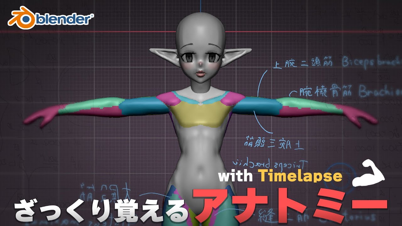 【Blender 4.4】難しく考えない。簡単アナトミー入門講座！