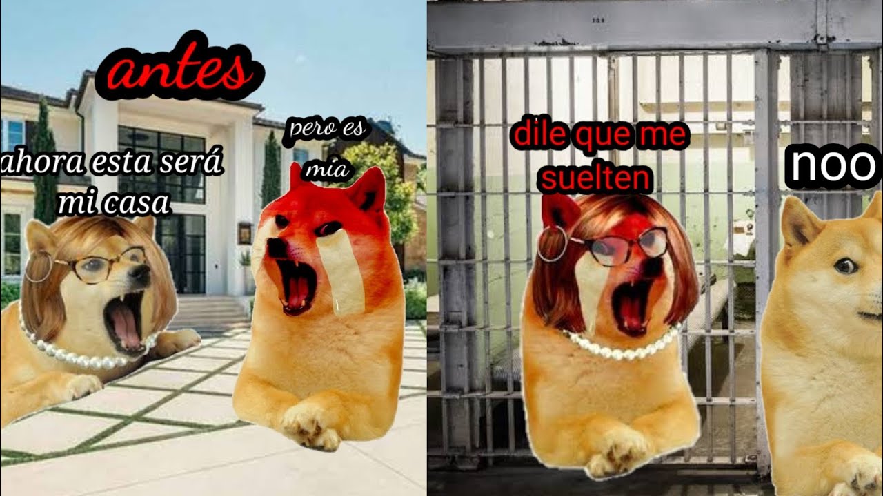 vecina con derecho arruinó mi vida y yo arruine la suya