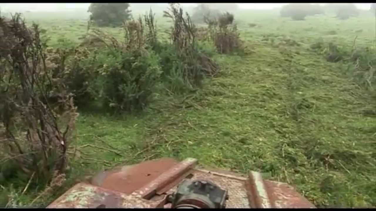 Invasoras exóticas - Control del Tojo