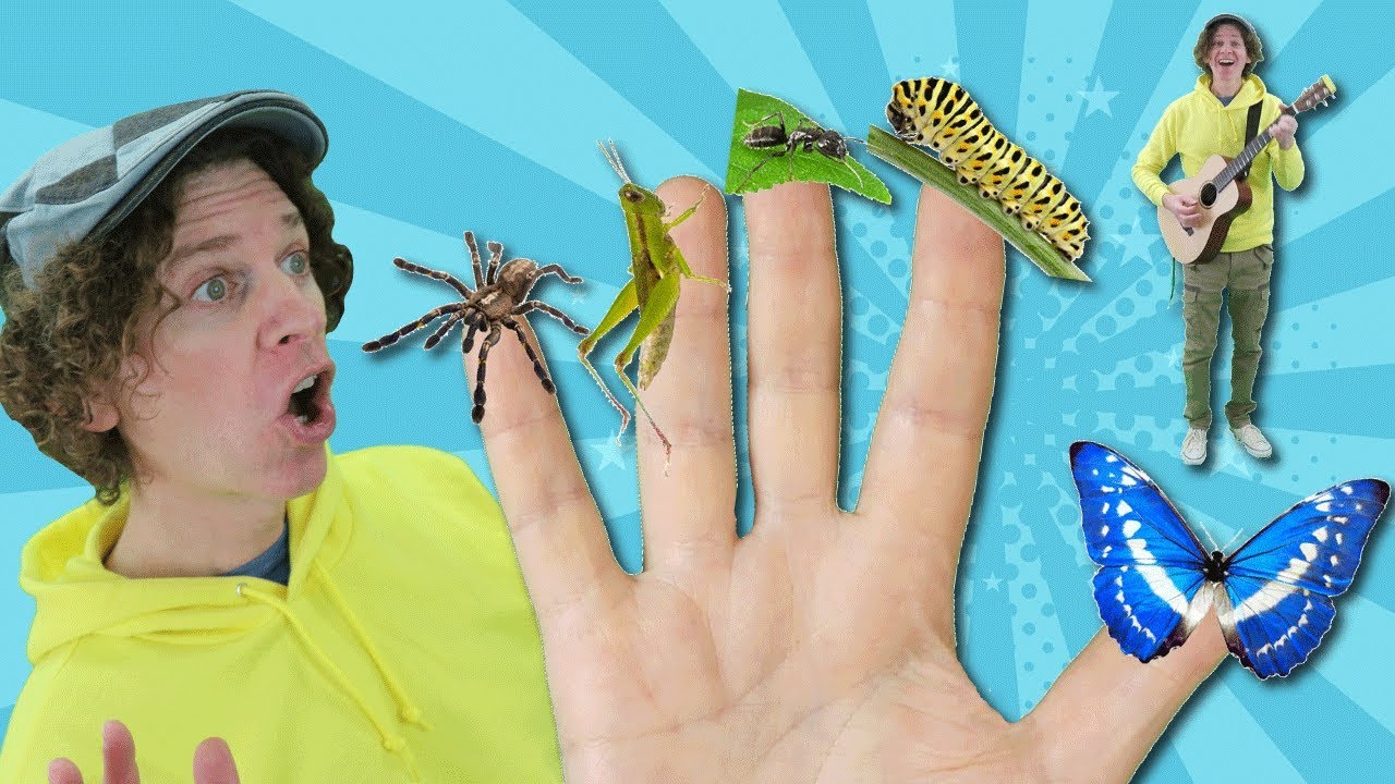 Finger Family Song - Bugs With Matt | Nursery Rhymes, Children's Song | Learn English Kids