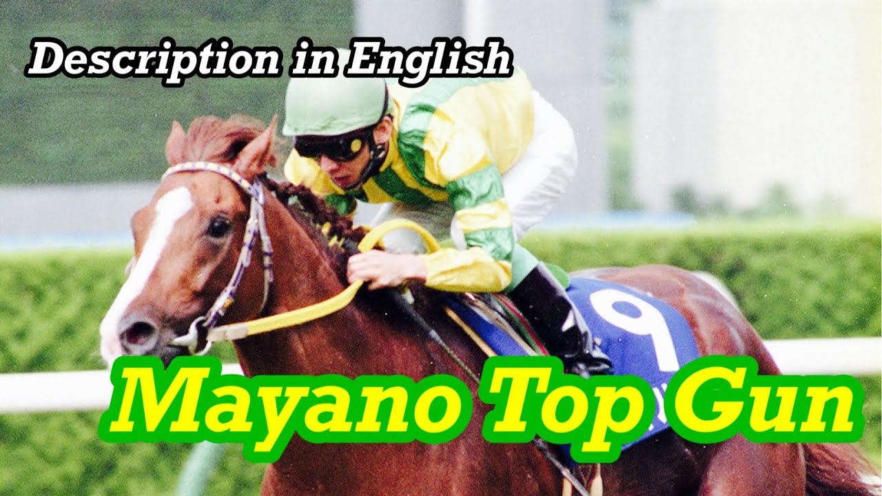 The Pilot who can use a variety of tactics - Mayano Top Gun（マヤノトップガン）