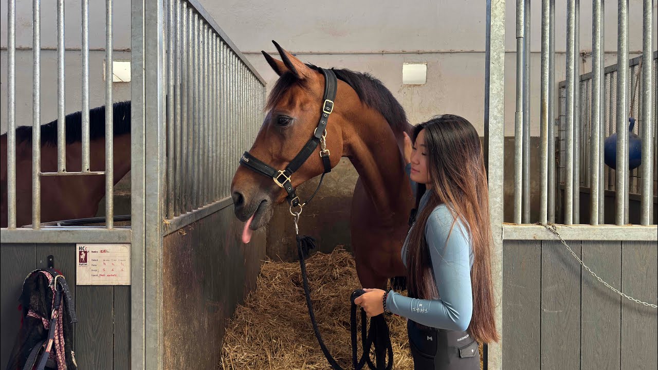 Silvia Hernando y sus caballos! ✨| Noa Cuadros