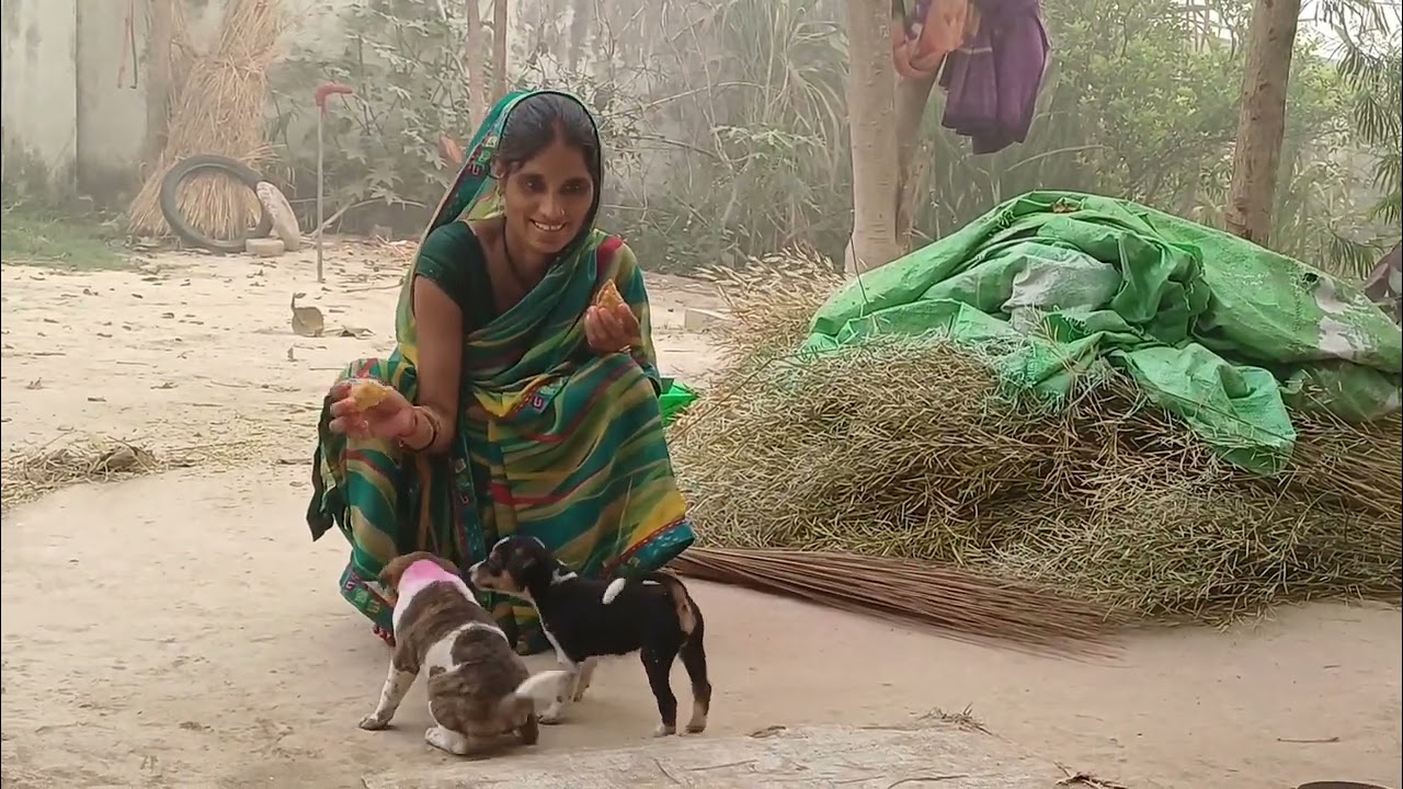 10 मार्च 2026