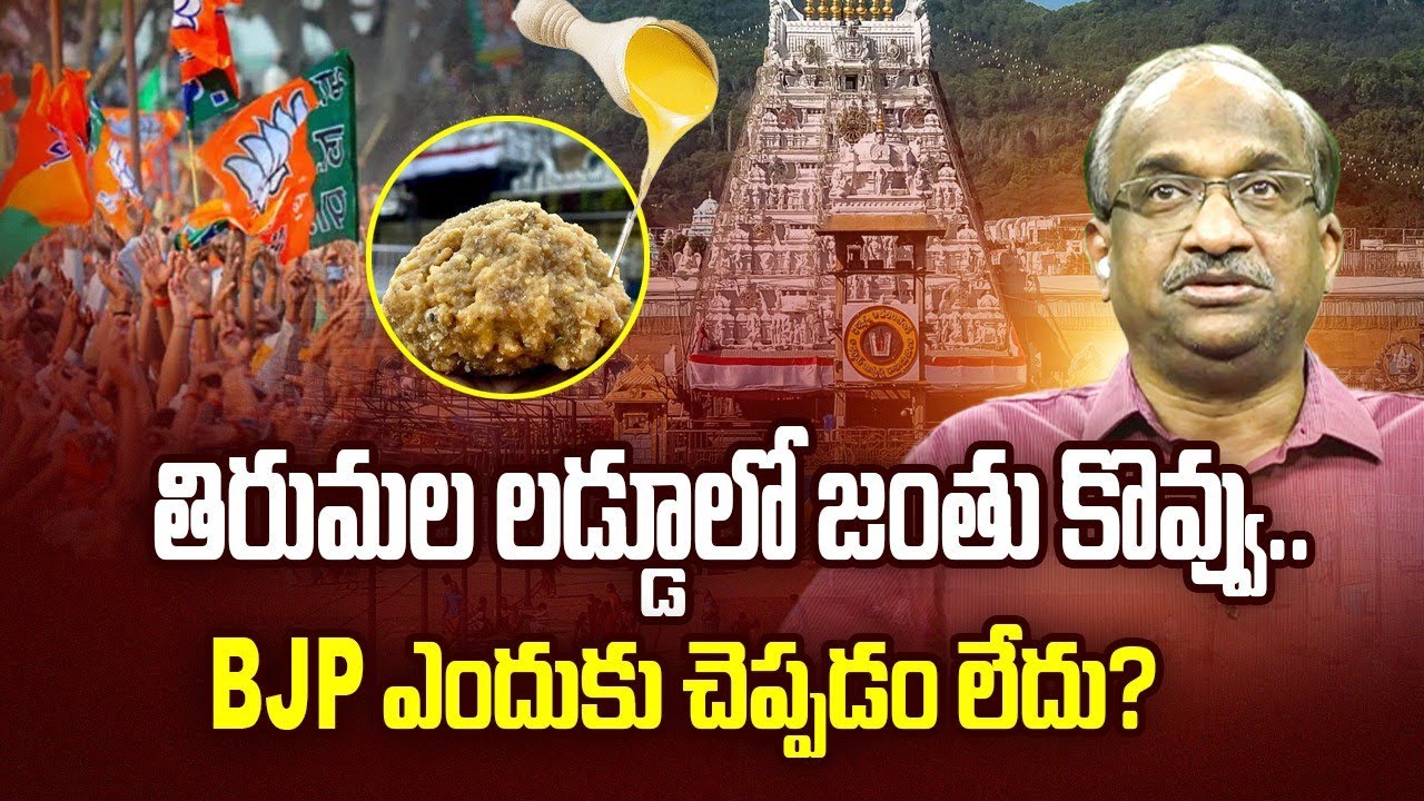 తిరుమల లడ్డూలో జంతు కొవ్వు, BJP ఎందుకు చెప్పడం లేదు? || Why BJP Not Saying Animal Fat In Laddu? ||