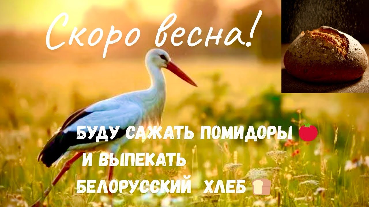 Любимые рецепты/дача в Беларуси выпечка/Life in Belarus !