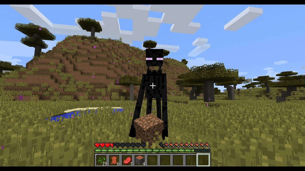 First day in Minecraft (​Enderman Kill me​)