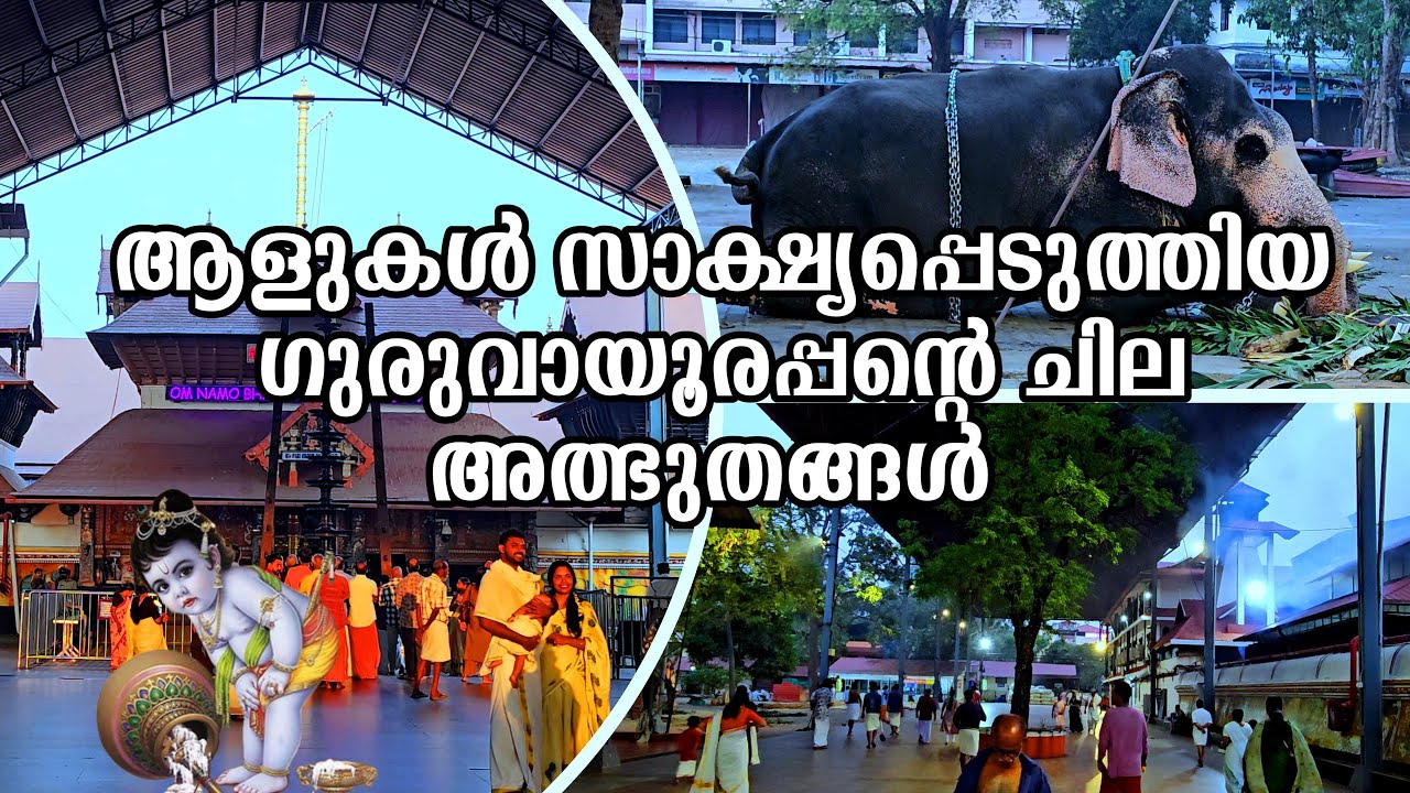 ഗുരുവായൂരിൽ നടന്ന ചില അത്ഭുതങ്ങൾ | GURUVAYOOR TEMPLE