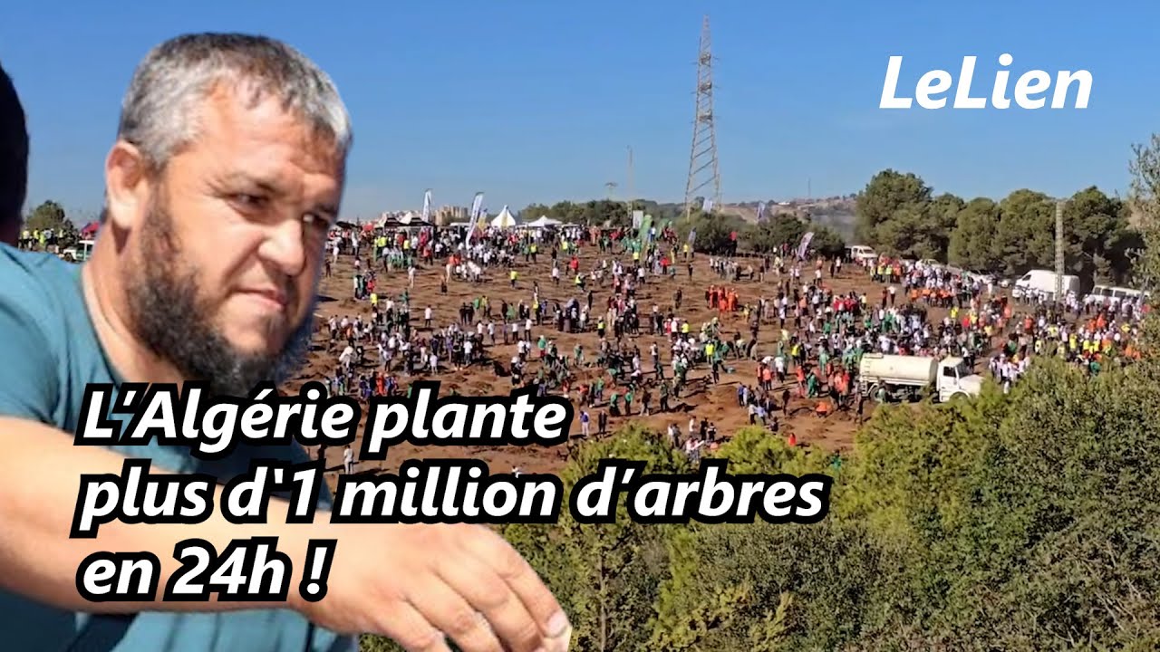 Algérie: l’opération “Algérie verte” dépasse toutes les attentes - plus d’1 million d’arbres en 24h