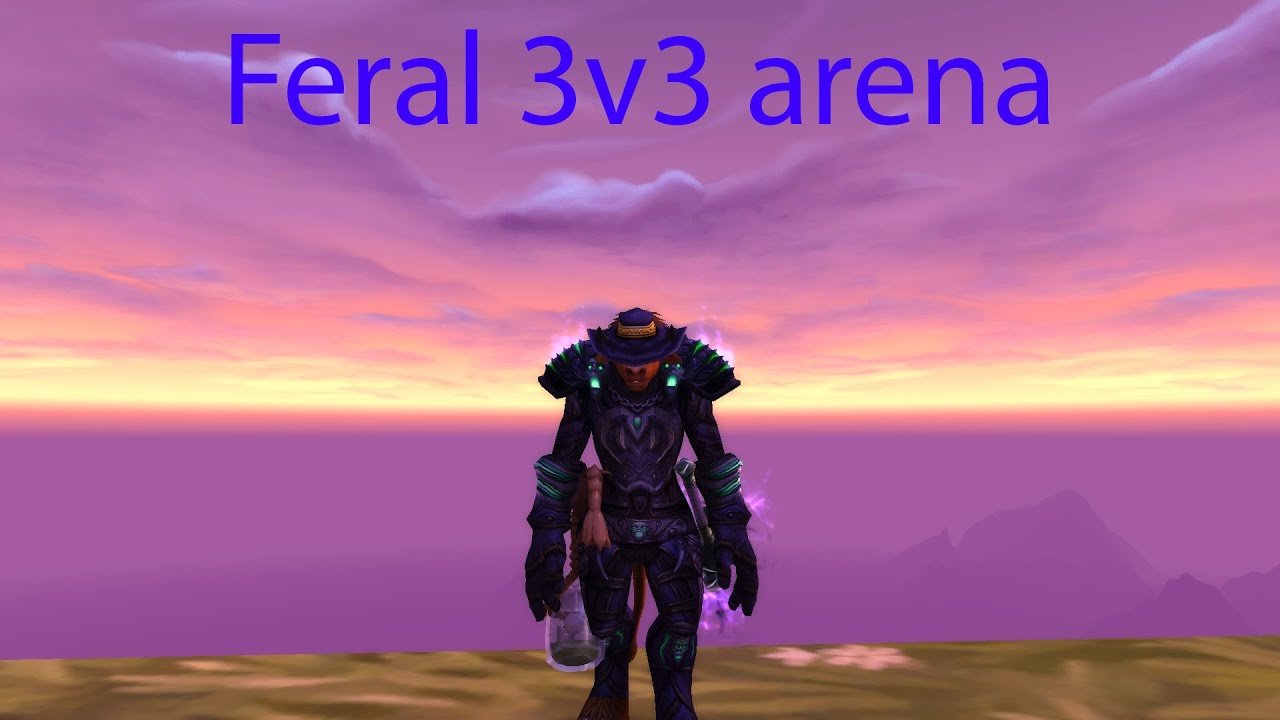 3v3 arena - Feral druid pvp 8.3