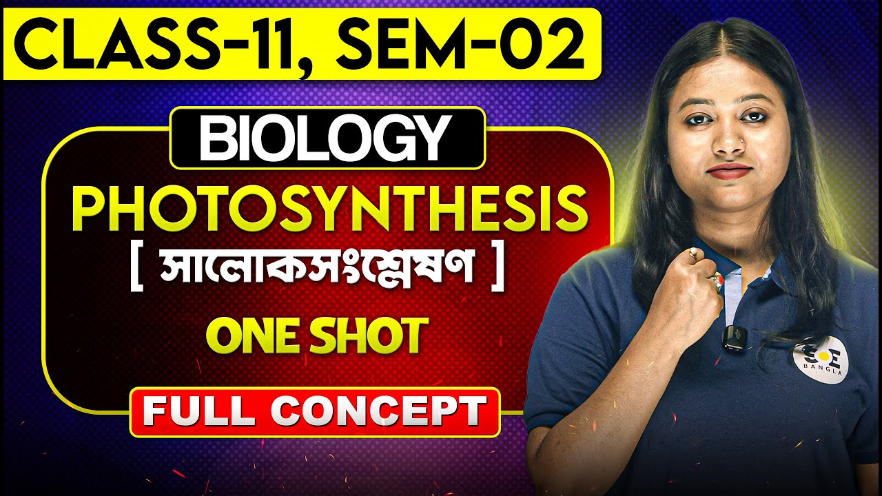 সালোকসংশ্লেষণ বোঝার সহজতম উপায়! | Photosynthesis in Higher Plants Class 11 | SOE Bangla