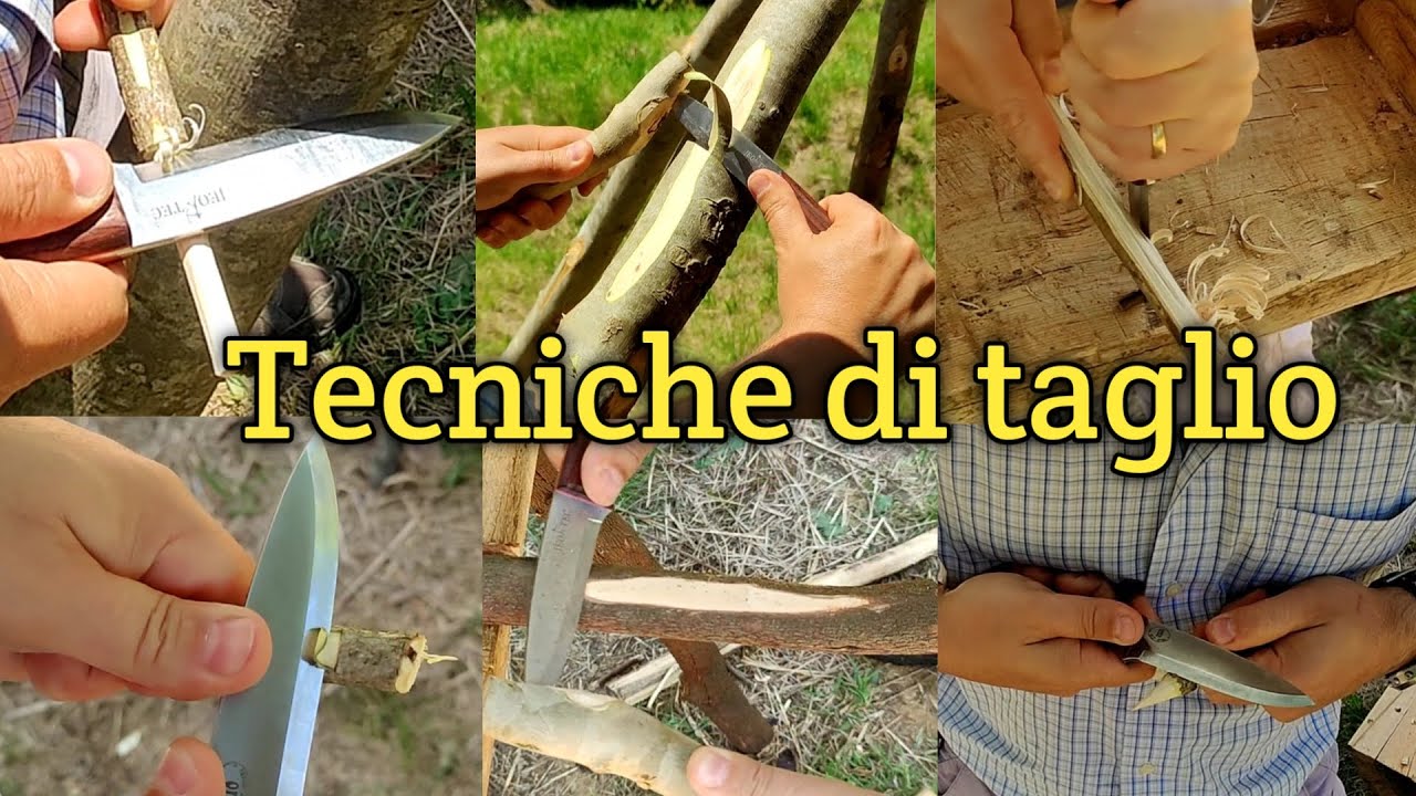Tecniche di taglio e norme di sicurezza con il COLTELLO.