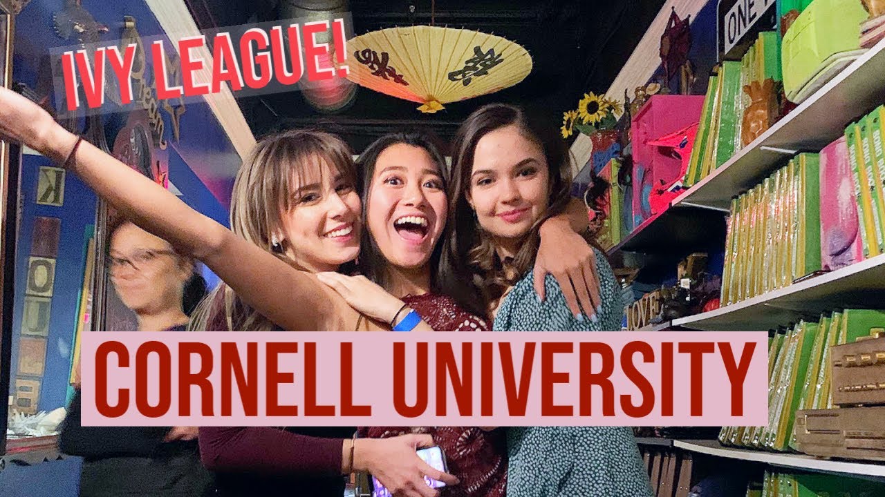 CORNELL VLOG: CRAZY PARTIES at an IVY LEAGUE (Story 3)