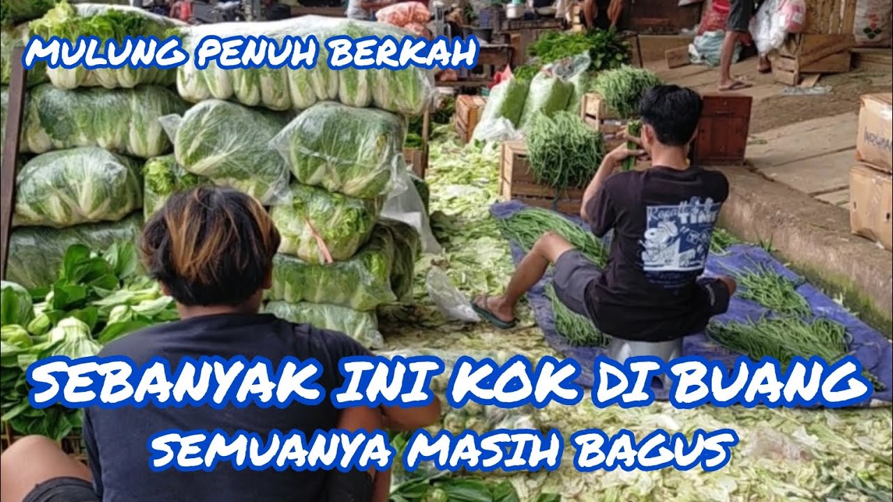 JANGAN DIBUANG 😪😭😭😭