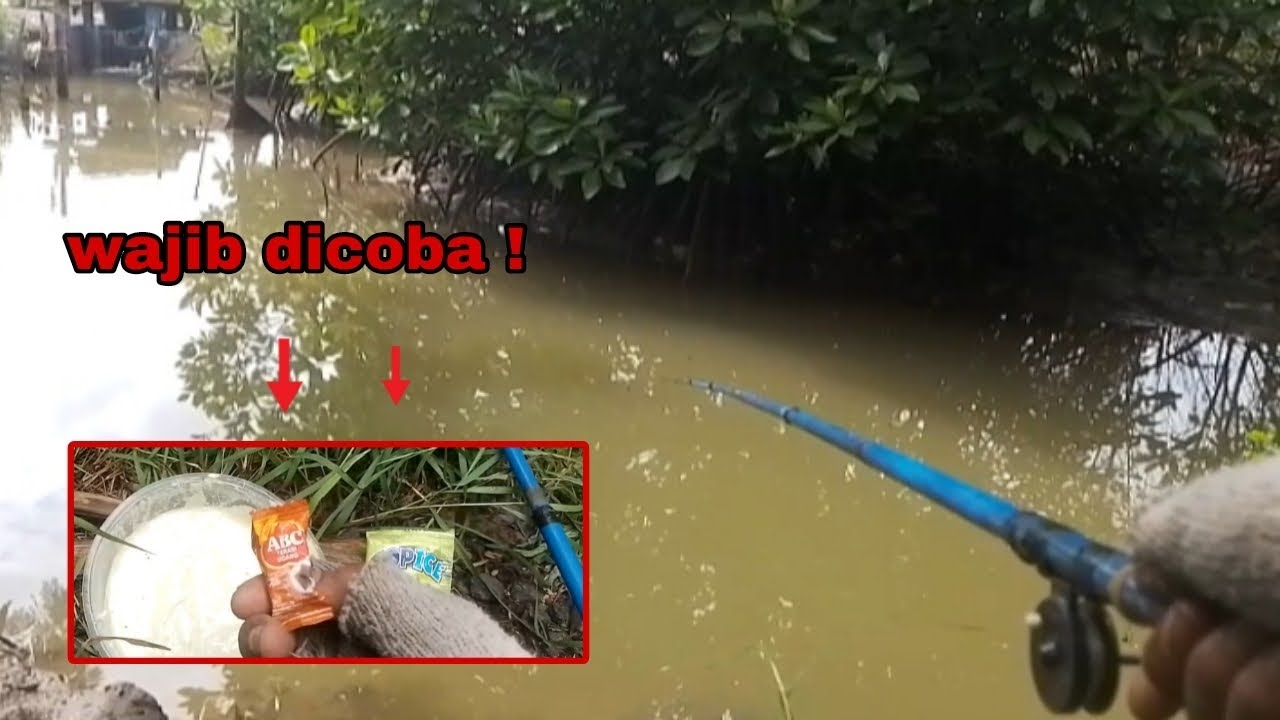 Terasi dan melon  umpan paling ampuh || mancing belanak sungai kronjo || 