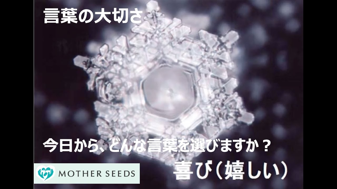 水・命からの伝言　~優しい言葉が、社会を・家族を・自分自身を心豊かにしていくのかもしれません~