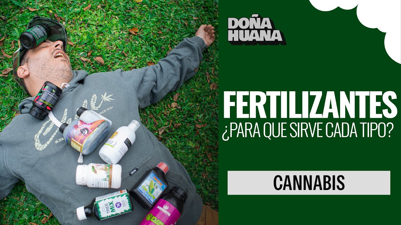 Para qu&eacute; sirve cada tipo de FERTILIZANTE - CUAL ES MAS IMPORTANTE raiz, crecimiento, flora CANNABIS