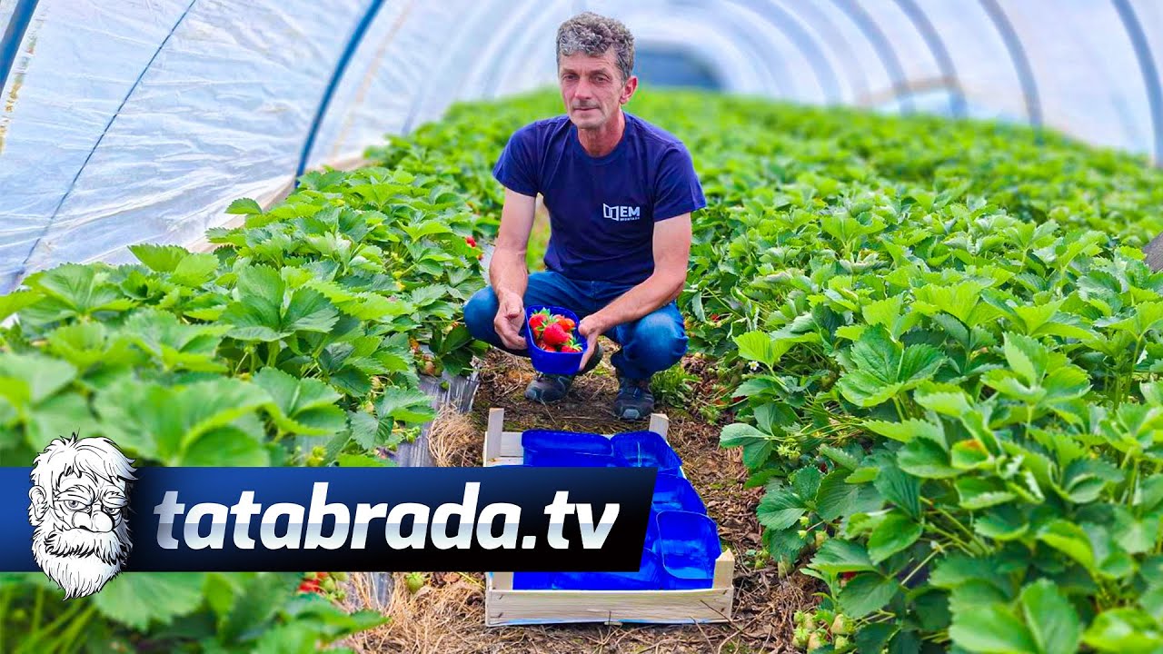 Izgubili sve, dobili još više: Alija čelićko-ratkovački Korajac uspio nakon svega