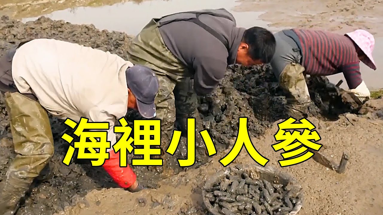 海邊人特愛的