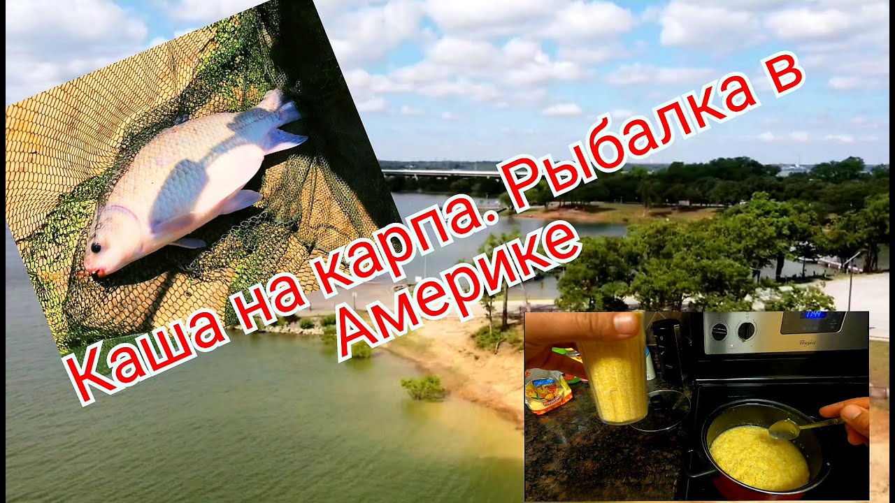 Каша на карпа. Рыбалка в Америке