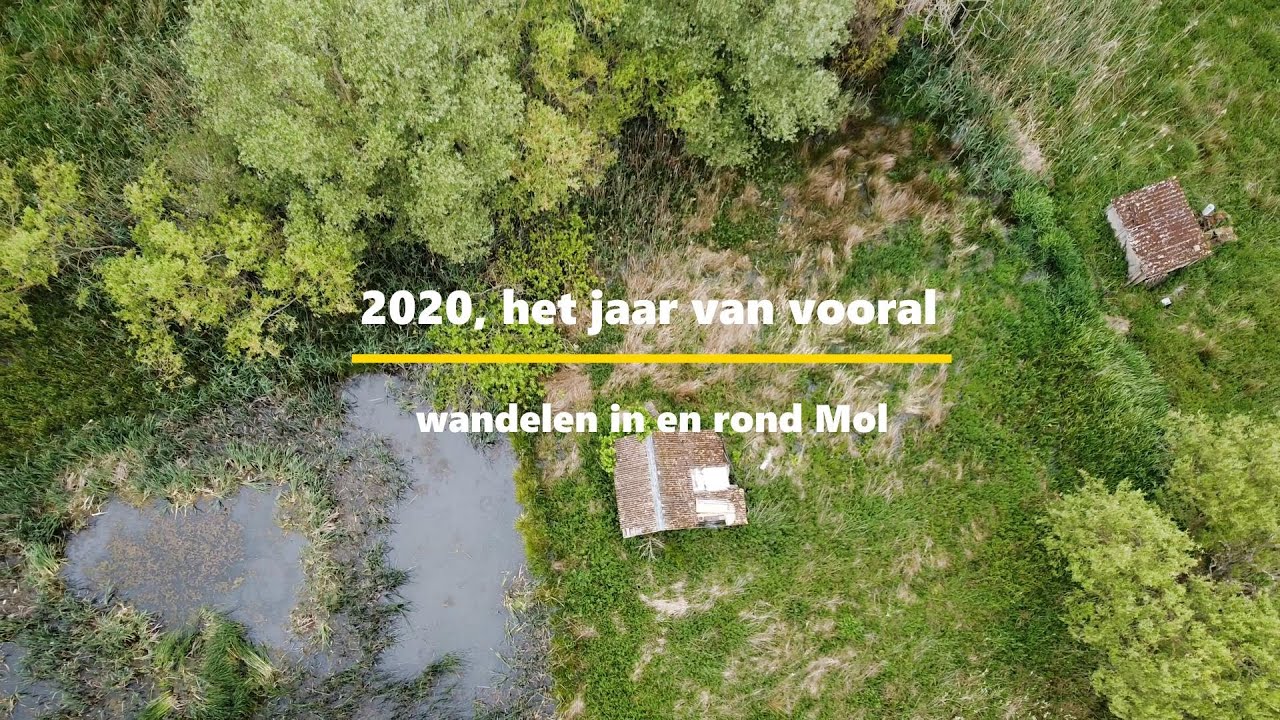 Mol en omgeving, wandelparadijs zonder meer. Dat heb ik mogen ontdekken in 2020.