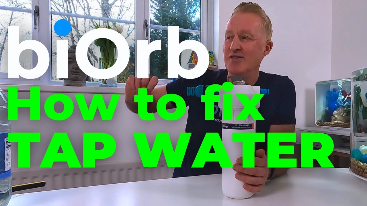 biOrb Aquarium  |  Reduce tap nitrate  |  Happy fish!