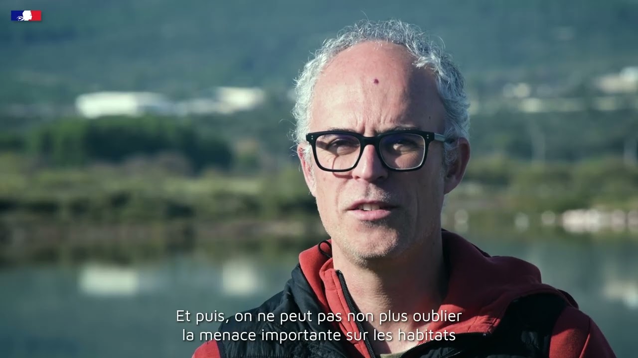 PNA Aigle de Bonelli - Présentation des Plans Nationaux d'Actions en faveur des espèces