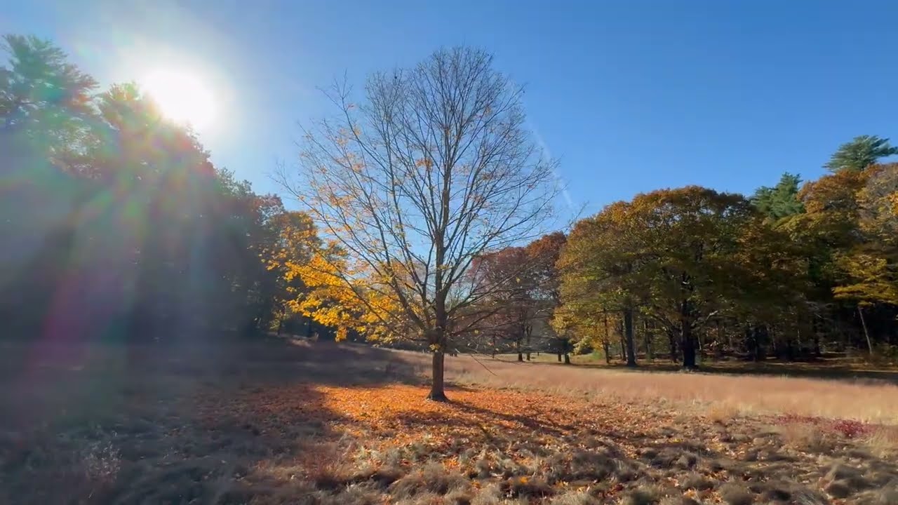 Indian Summer (Official Video)