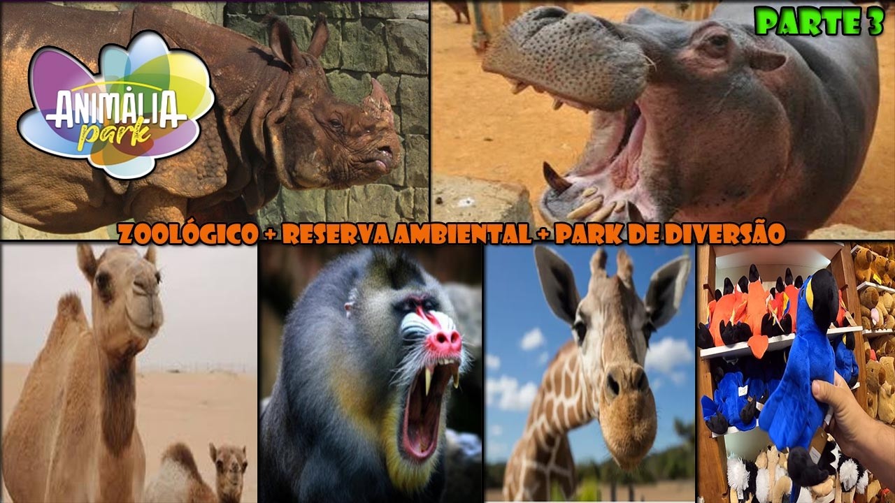 ANIMALIA PARK - ZÔO - RESERVA AMBIENTAL - PARK DE DIVERSÕES -  RINOCERONTE - GIRAFA E MUITO+ PARTE 3