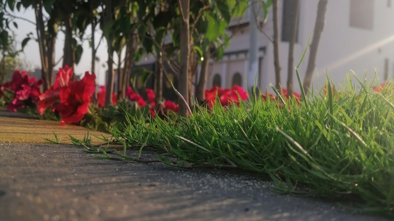 Al NoOr town Sialkot |New VLOG 2023 March 10|10 March 2023|Sialkot Al NoOr town|