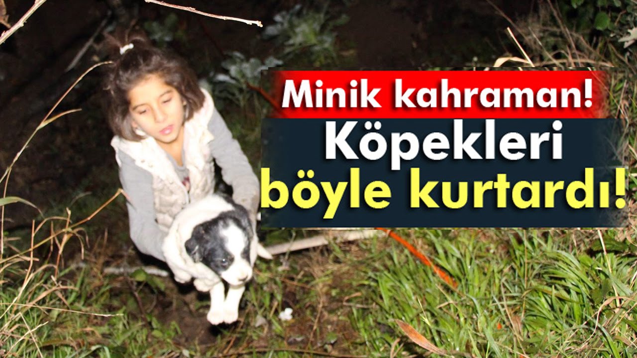 Yavru Köpekleri Yıkılmak Üzere Olan Evden Kurtaran Minik Kız