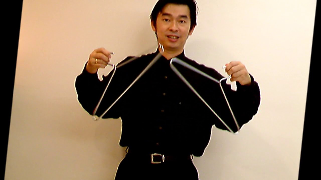 Raymond's Phoenix Linking Coat Hangers