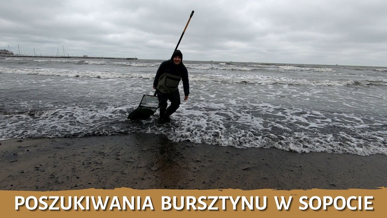 Poszukiwania bursztynu w Sopocie - poławiacze bursztynu - bursztyn na plaży po sztormie
