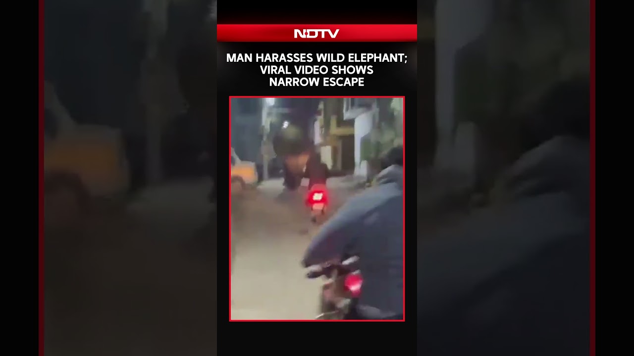 Haridwar: Man Harasses Wild Elephant; Viral Video Shows Narrow Escape