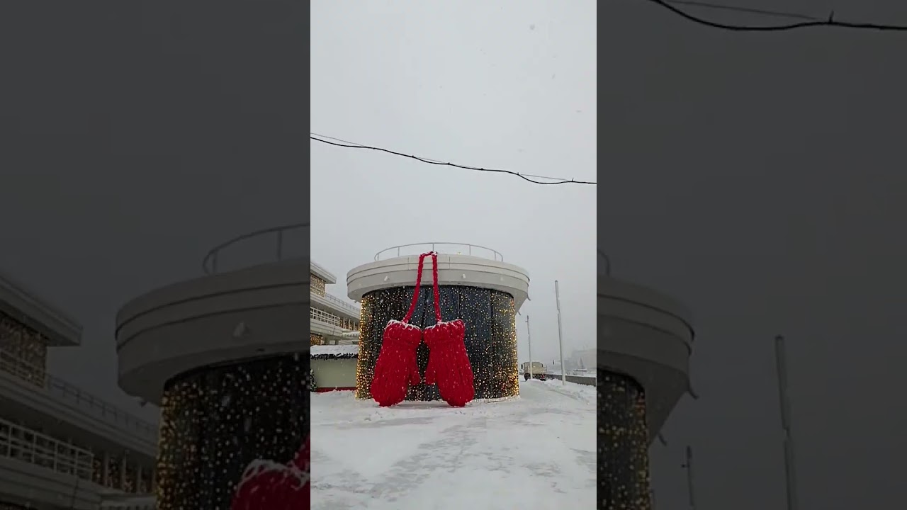 Москва, снегопад ❄❄❄