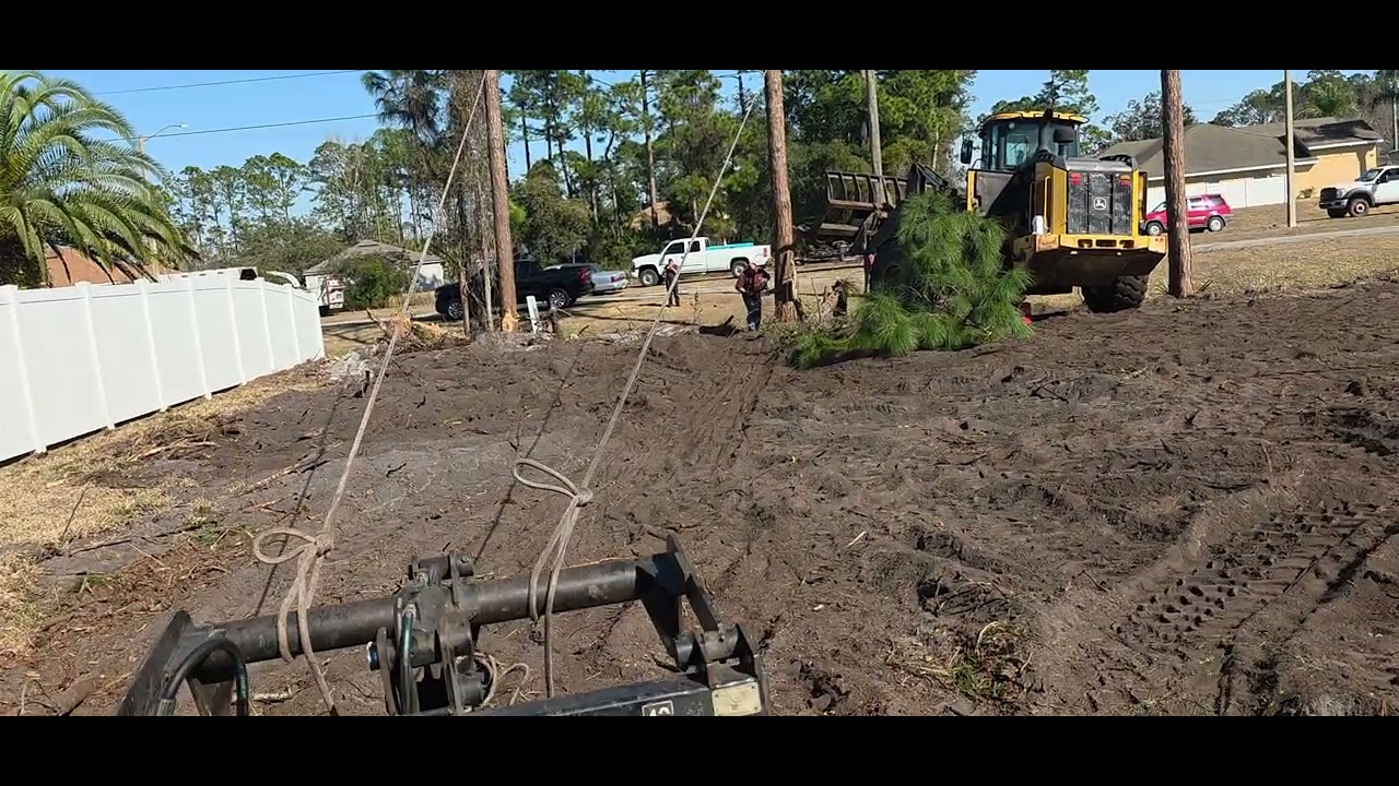What's better than dropping one Southern yellow pine there Kyle Paul?