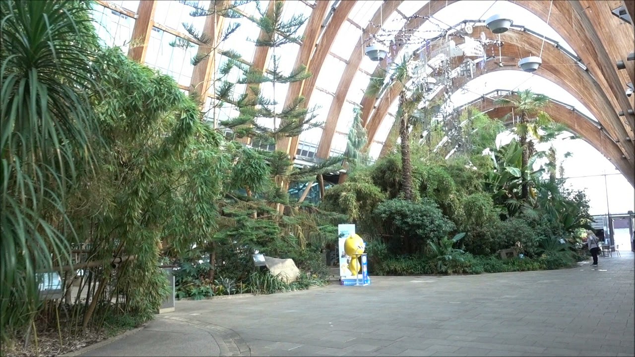 Sheffield Winter Gardens, Yorkshire, UK.