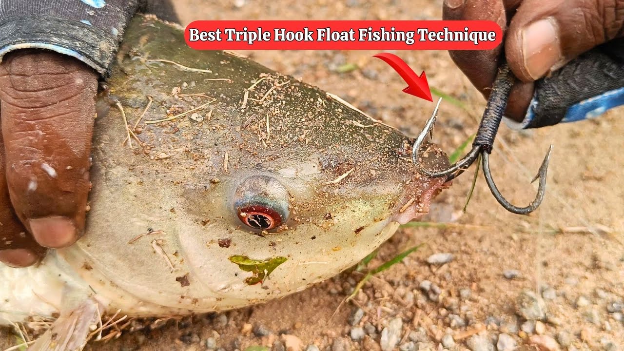 How to Float Fish Treble Hook🎣Best Rohu Fish Bait | Hyderabad Fishing Rohu Charai | Float Fishing