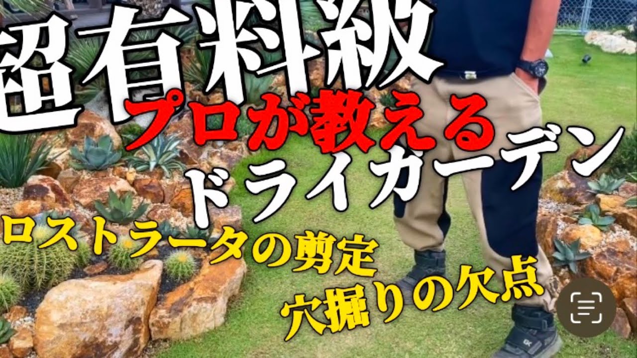 【プロが特別解説】ドライガーデン施工時の土壌改良の注意点‼︎ユッカロストラータの剪定について教えてくれました‼︎