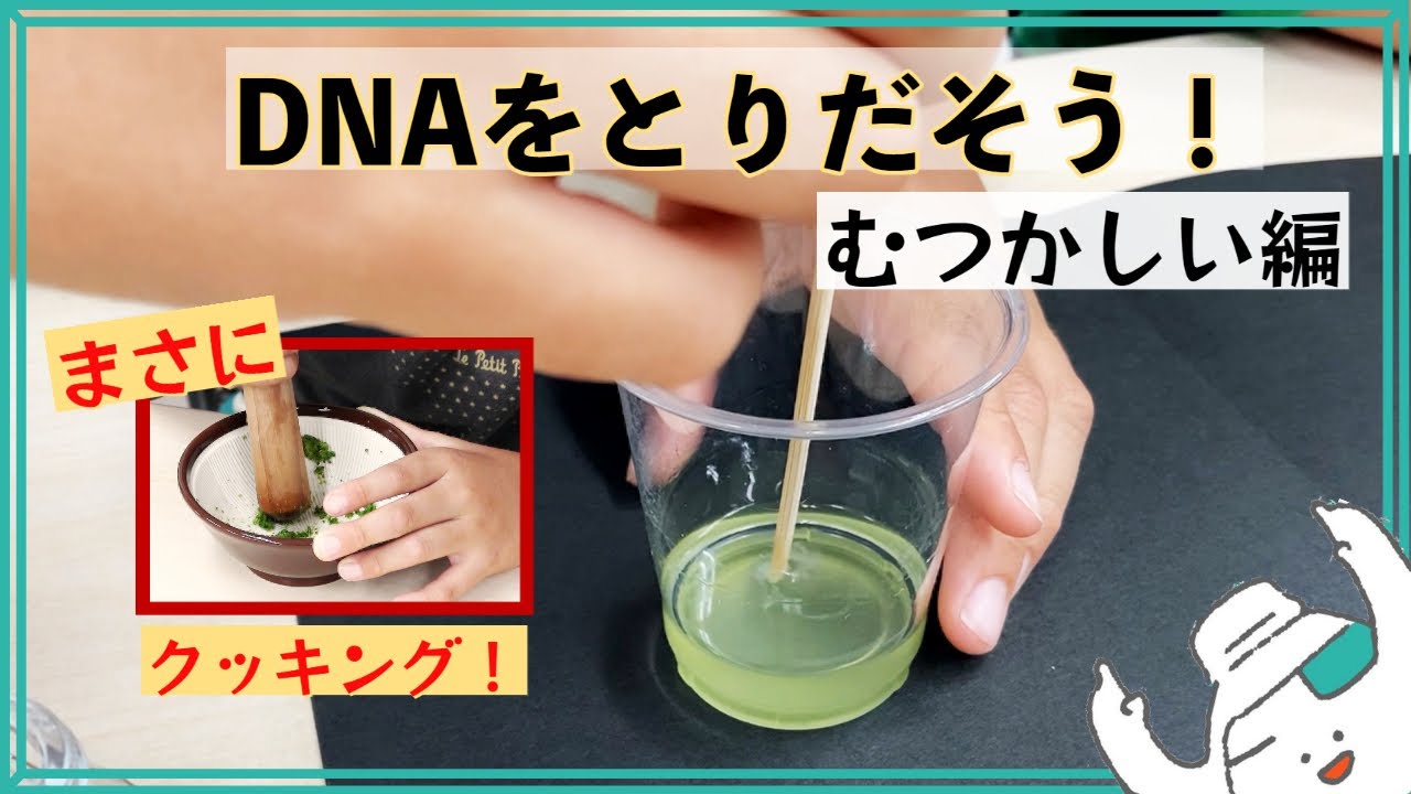 DNAをとりだそう【むつかしい へん】